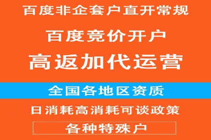 某某SEM公司助力企业快速发展的成功故事